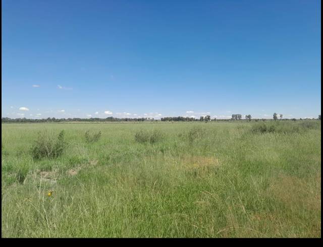 10,500M² VACANT LAND FOR SALE IN FREEDOM PARK